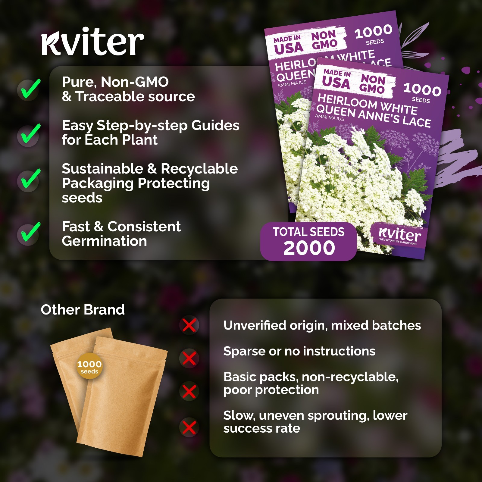 KVITER 2,000 White Queen Anne’s Lace Seeds (Daucus Carota), 2 Pack
