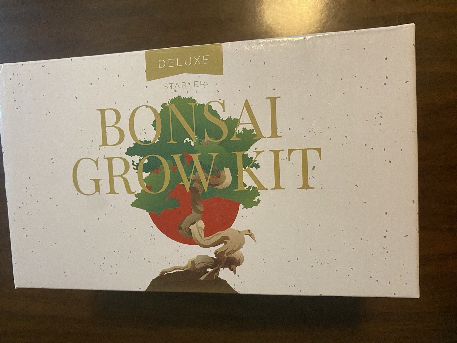 Home Grown Bonsai Seed Starter Kit High Germination Rate 4 Cups 4 Variety