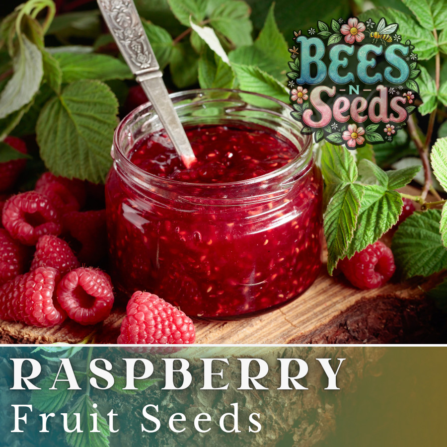 Crave Raspberry Seeds 125, 300, 750 Seeds Fruit Seeds, Non GMO, Bulk Seeds