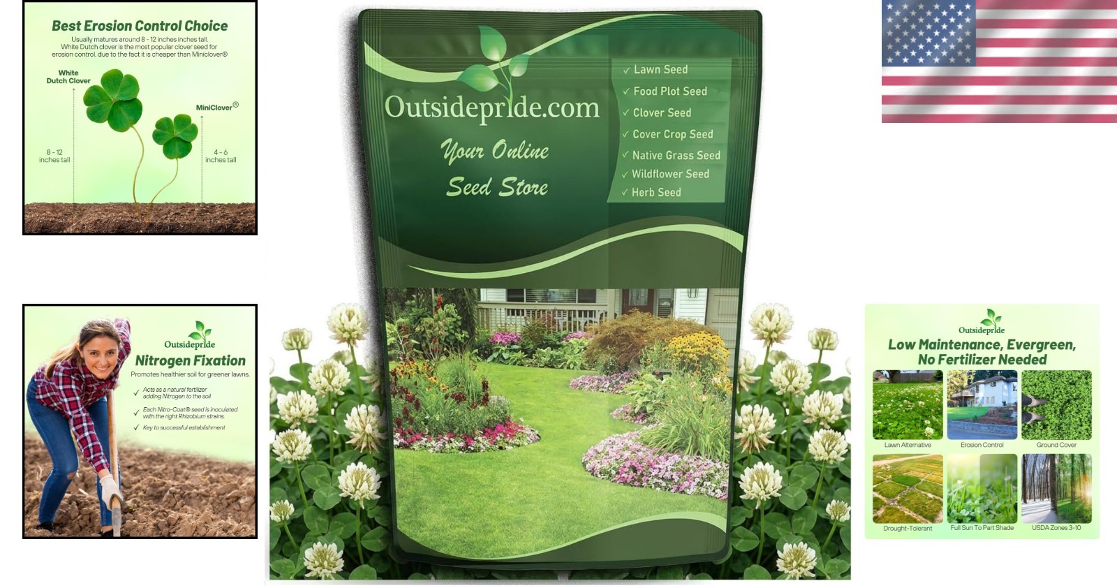 2 Lbs White Dutch Clover Seed For Sustainable Landscaping and Soil Health