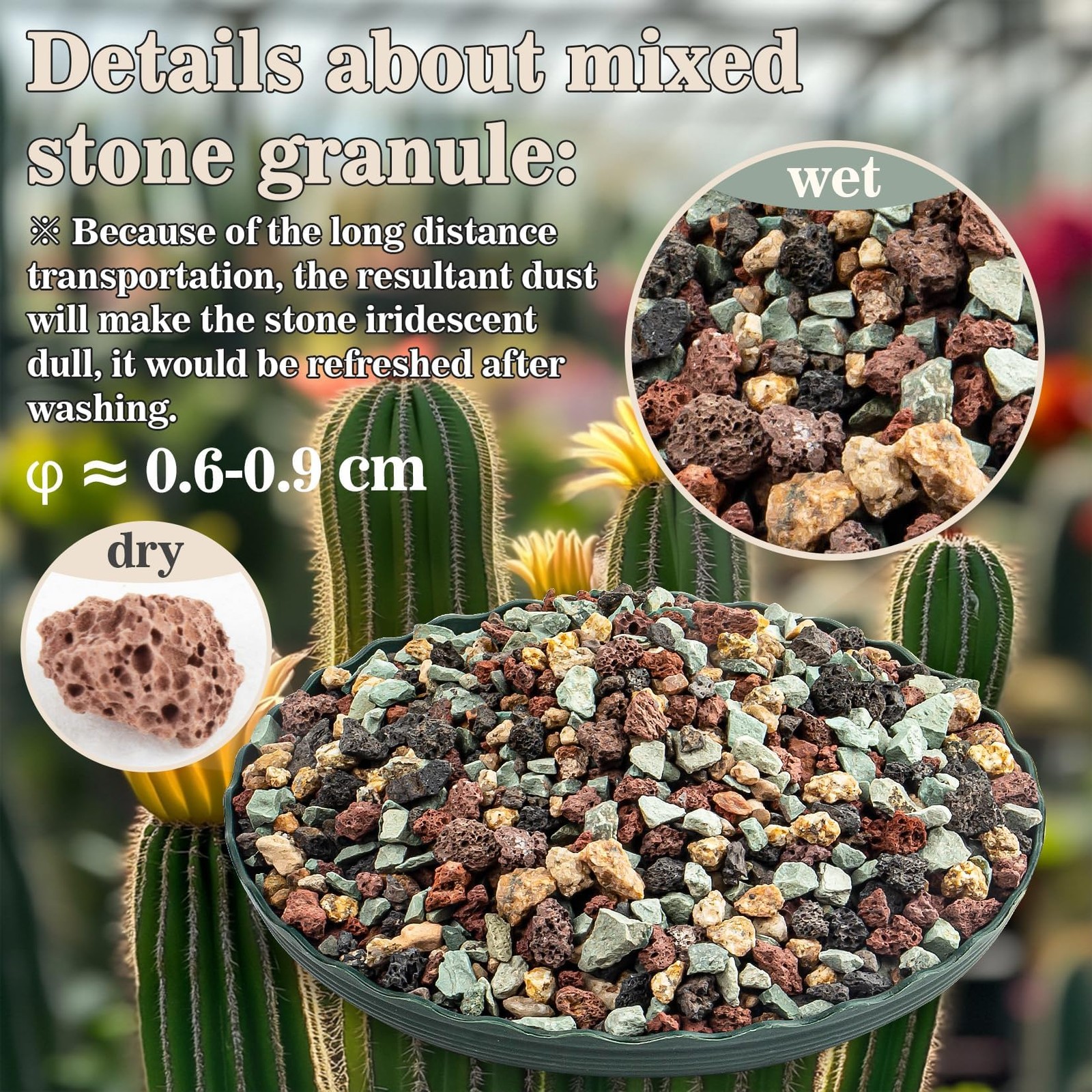 Sukh 2LBS Horticultural Succulent Rocks Bonsai Mix Succulent Potting Mix Lava Ro