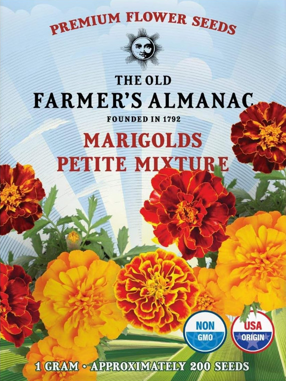 The Old Farmer’s 1 Packet – 1 Gram – Approx 200 Seeds, Orange, Red, Yellow