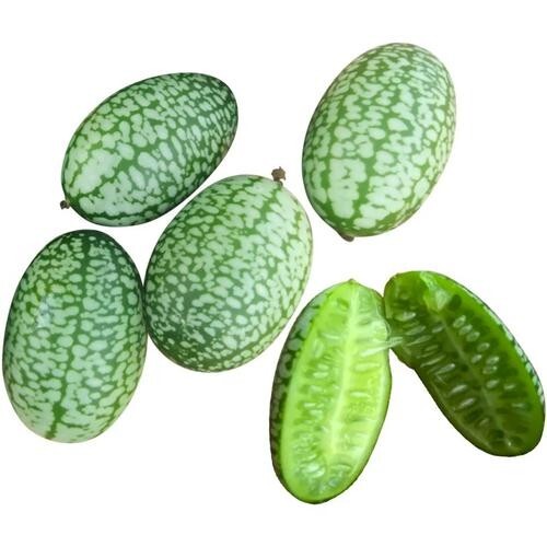 ORGANIC SEEDS 20 Cucamelon Melothria Scabra MINI WATERMELON BIO Non-GMO