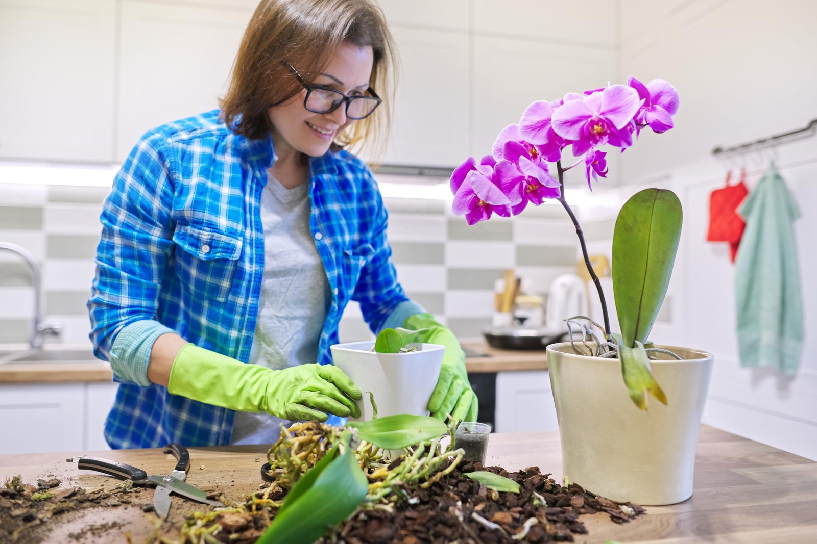 Sun Bulb 5011 Better-Gro Phalaenopsis Mix, 8 Quarts 8-Quart