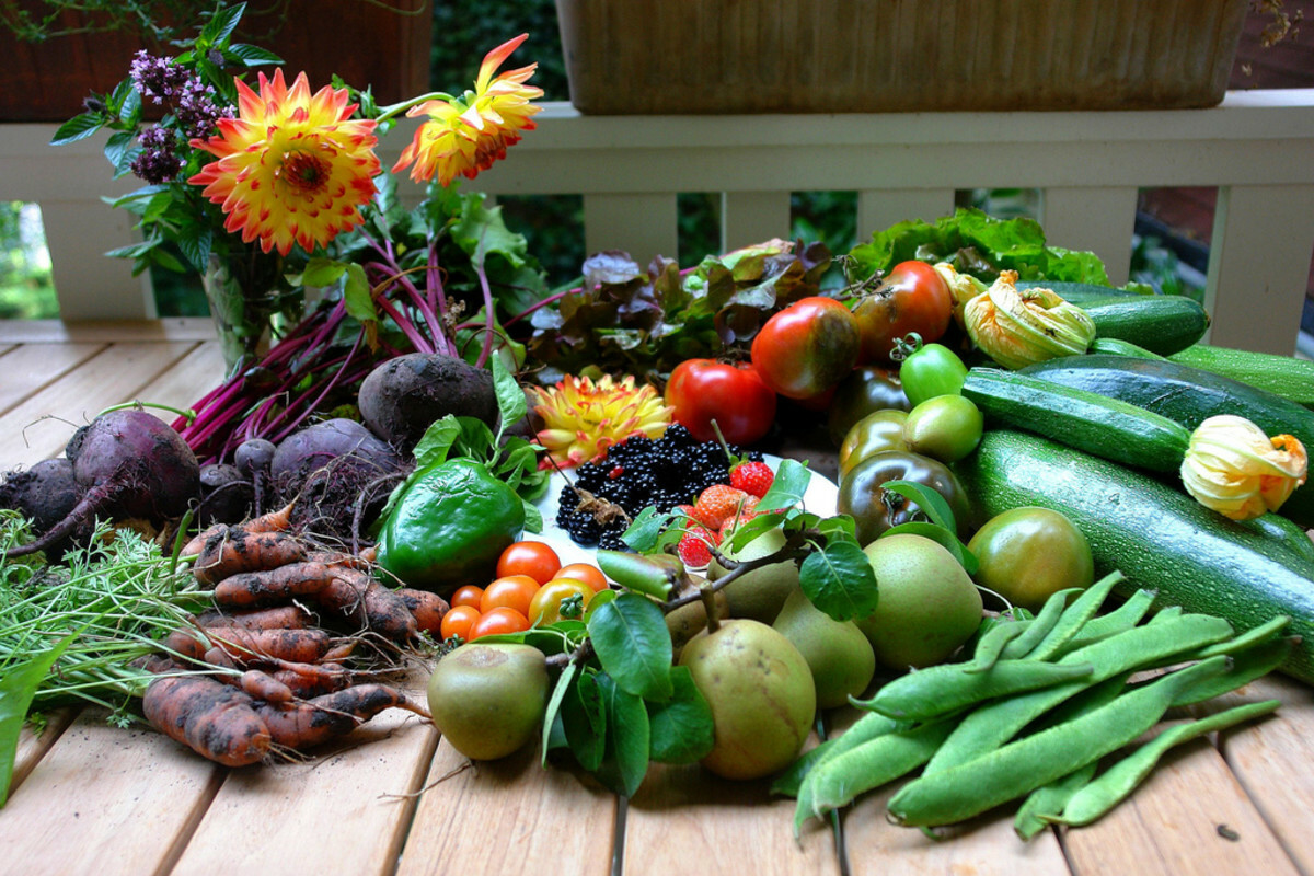24,000+ Survival/Garden Seeds ” 61 Heirloom ” Varieties! “Guaranteed Fresh”
