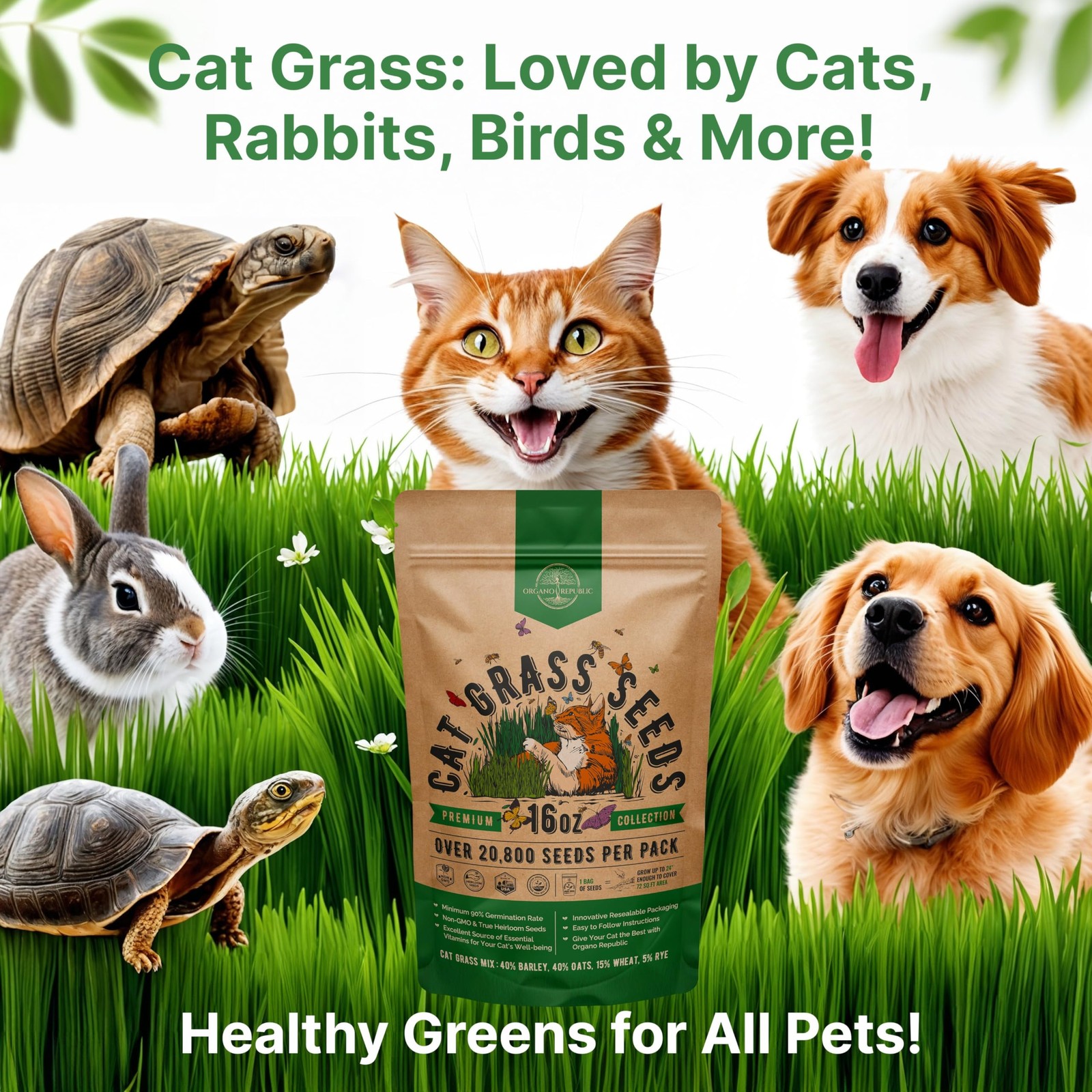 Organo Republic Cat Grass Seeds Mix 20,800 Non GMO Heirloom Seeds for Cats &