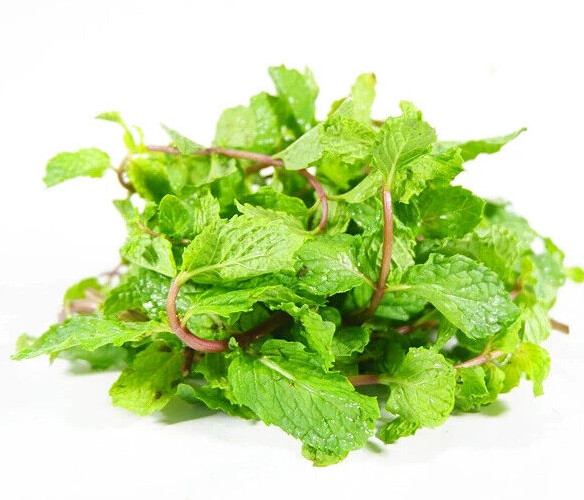 MINT HERB SEEDS – RAU HÚNG LŨI | 85% GERMINATION | (1000+ PCS)