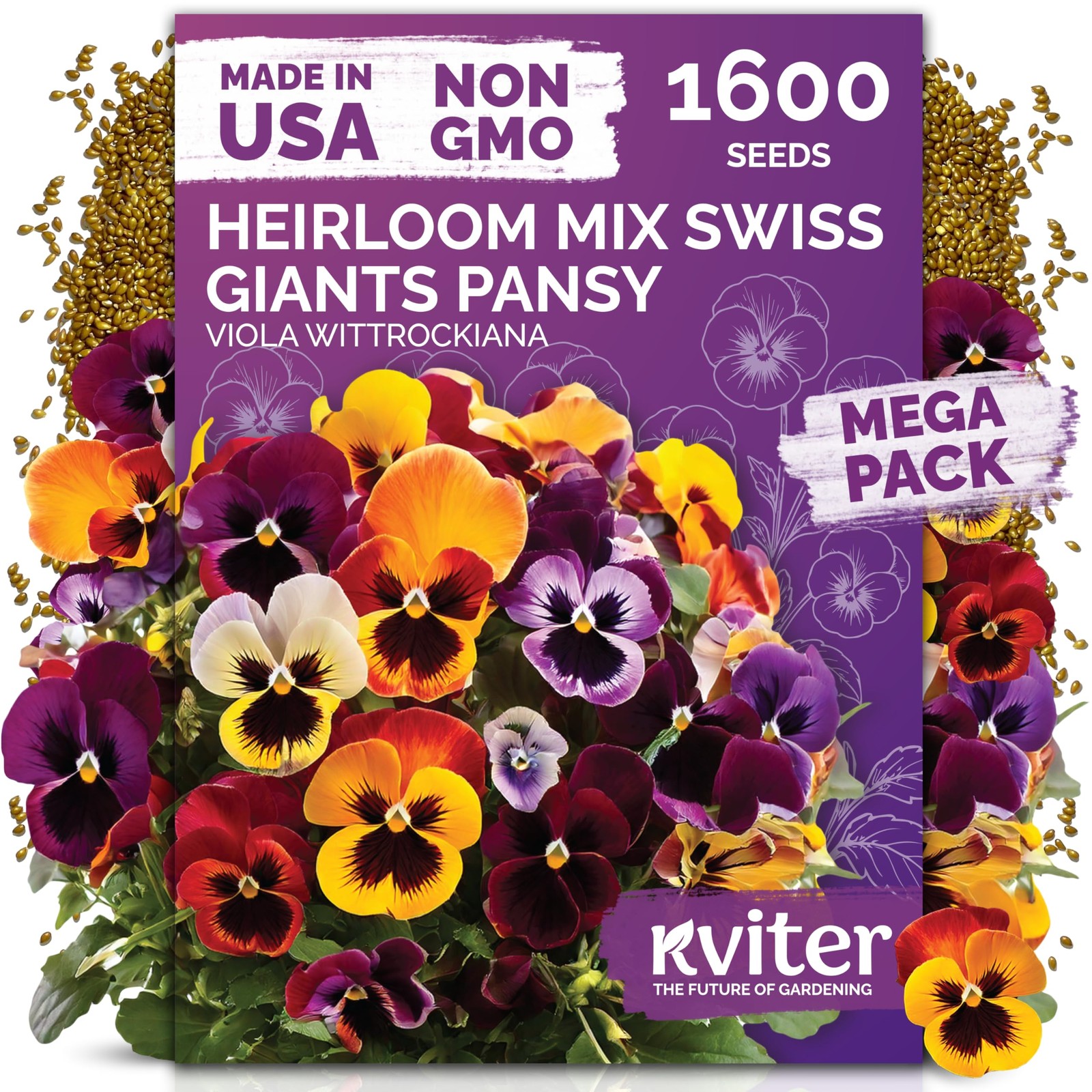 KVITER 1600 Swiss Giants Pansy Seeds For Planting (Viola wittrockiana)