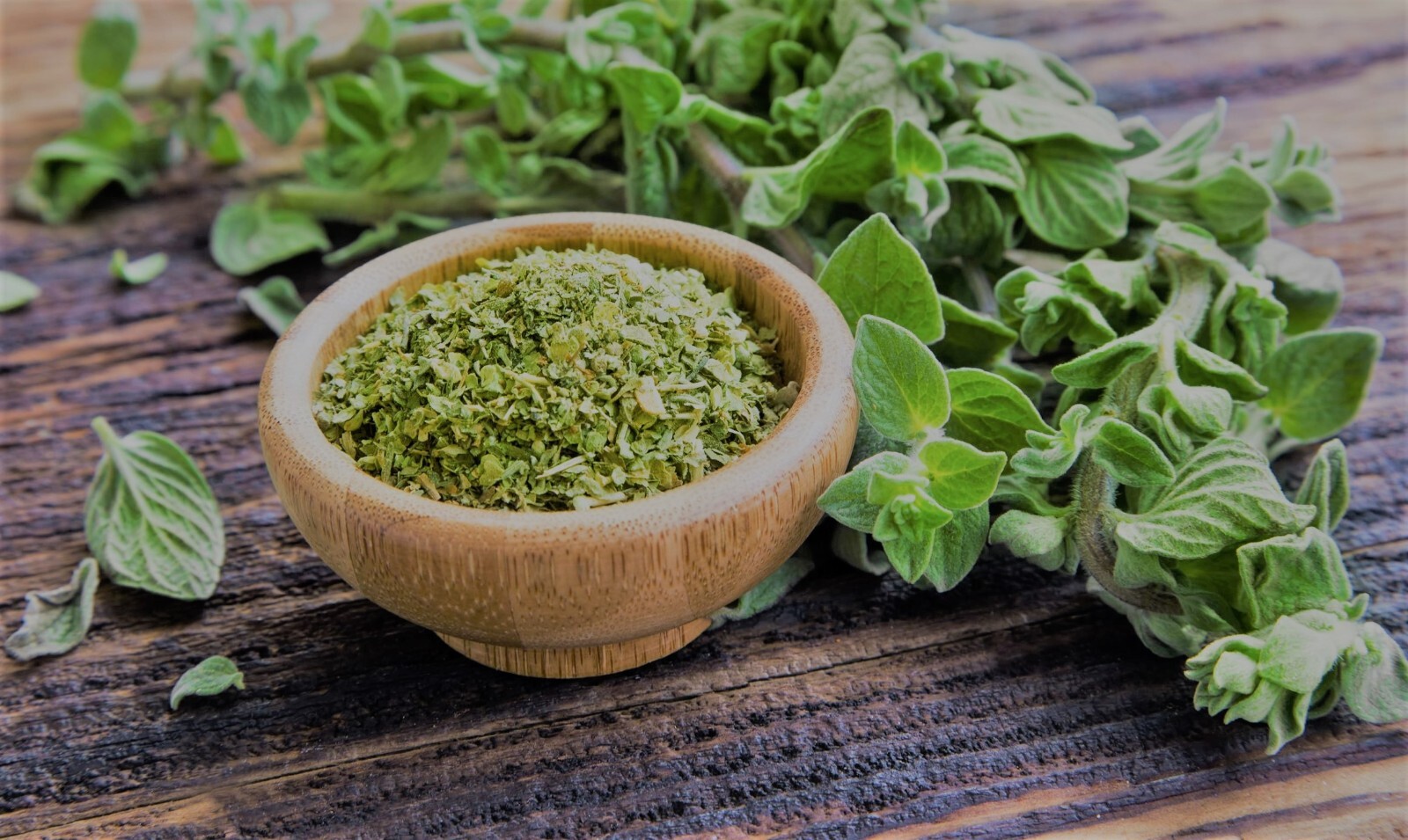 500+ Italian Vulgare Oregano Seeds | Heirloom | NON-GMO | USA Fresh