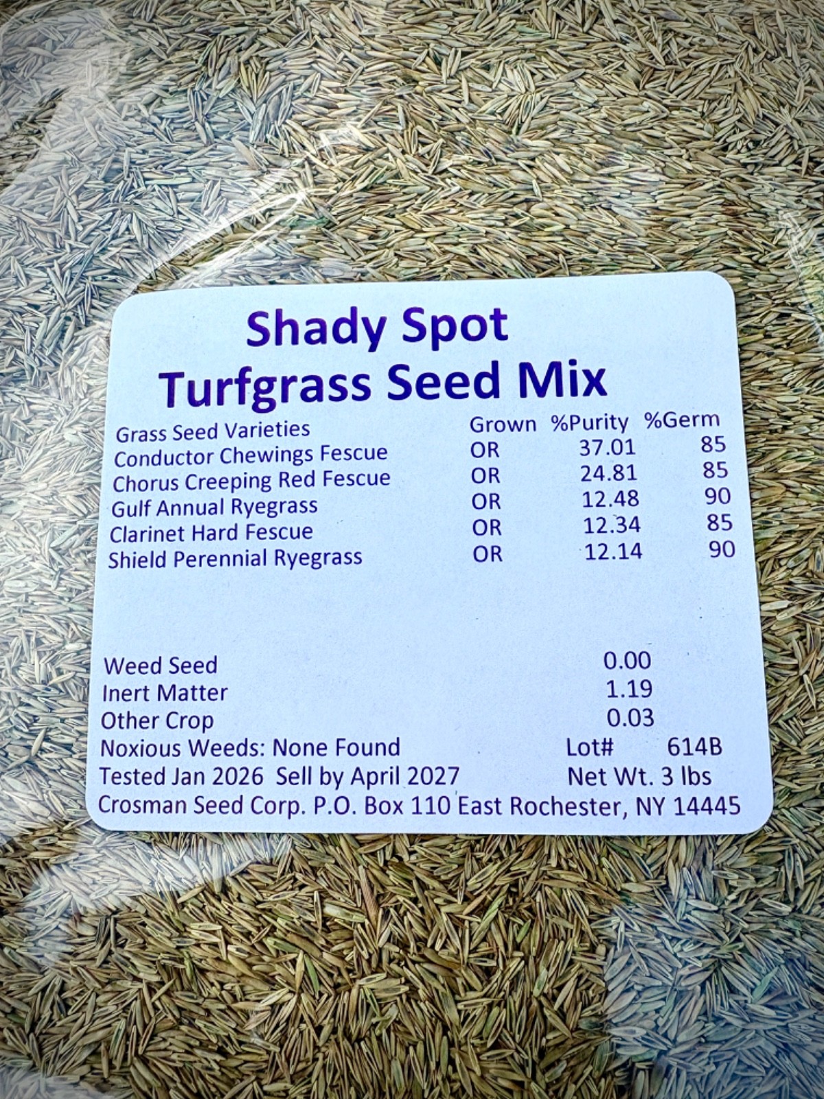 Grass Seed for Shade Fine Fescue Mix 3 lb Cool Season Low Maintenance Full Sun
