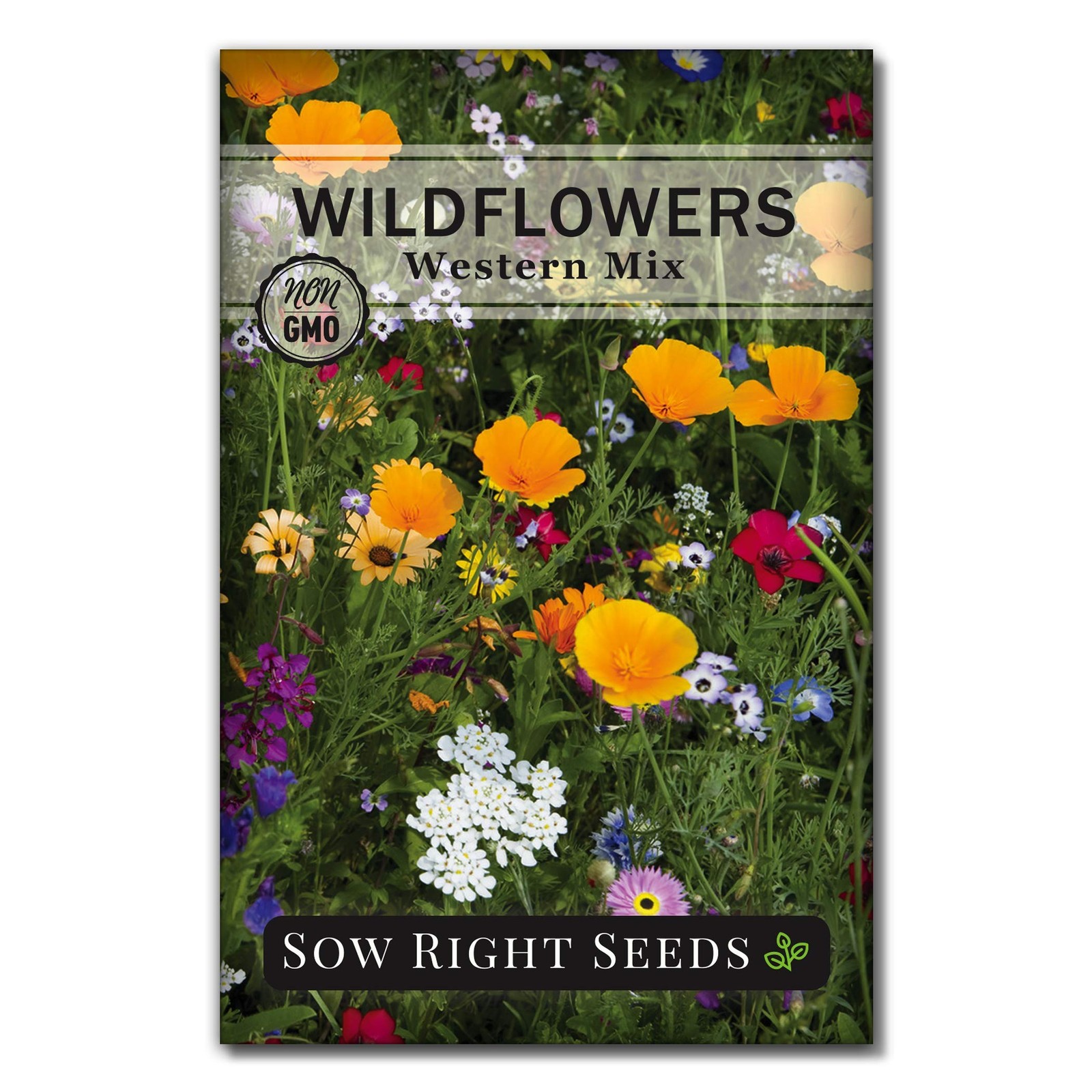 Sow Right Seeds – Wildflowers Mix for Planting in West – Non-GMO mix