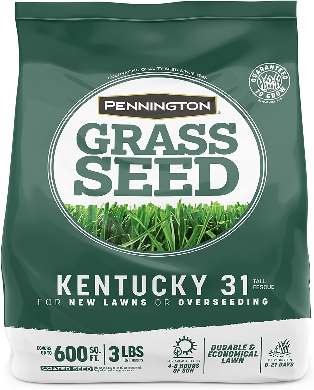 Kentucky 31 Tall Fescue Penkoted Grass Seed Durable Economical Lawn 3 LB NEW
