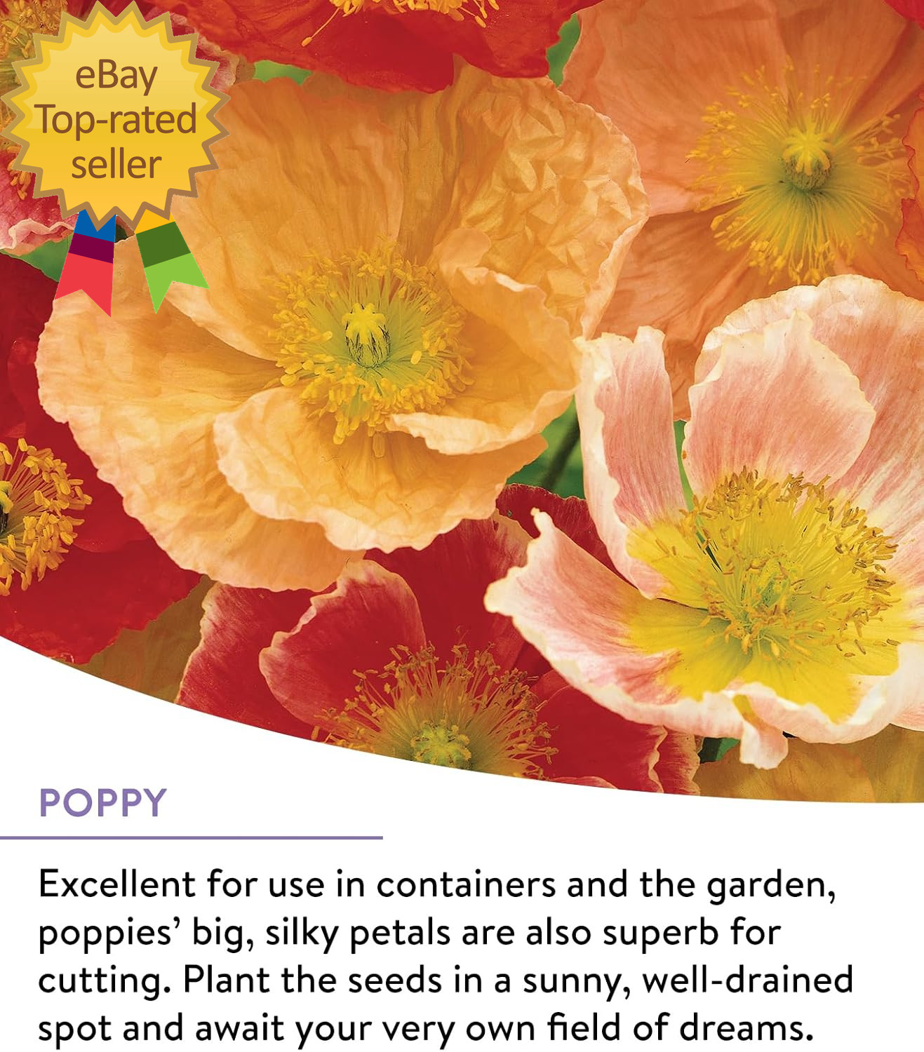 Wildflower 25,000 Bulk, 1 Bag | 18 Varieties of Non-Gmo Flower Seeds Pollinator