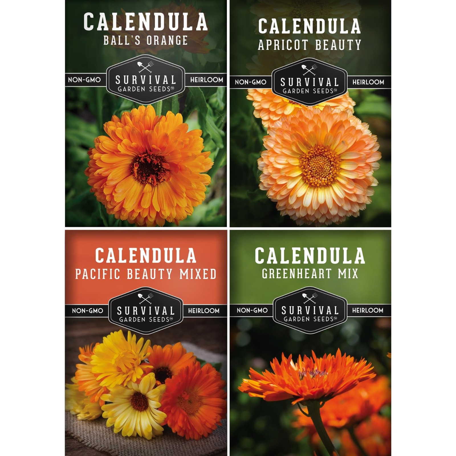 Calendula Seeds for Planting – 4 Pack Mix | Pacific Beauty, Multicolor