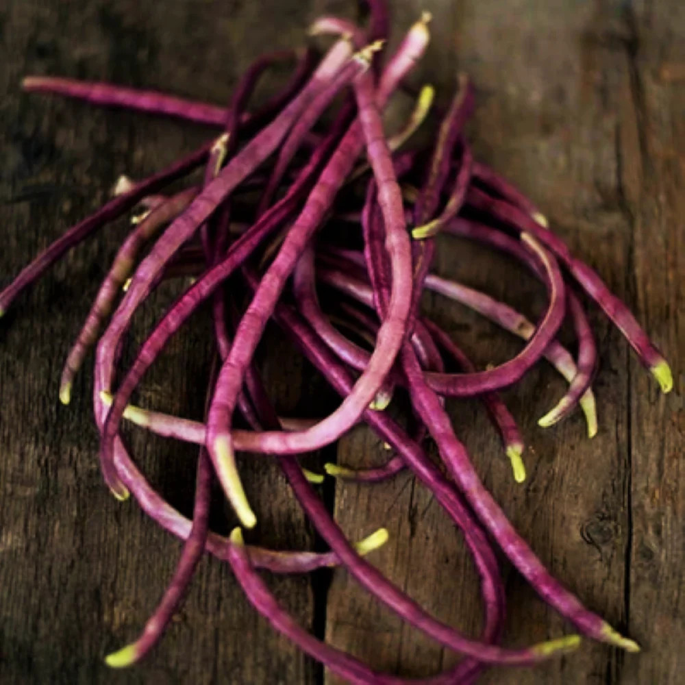 Mosaic Yard Long Bean Seeds |Purple Pink White Chinese Asparagus Asian Seed 2024