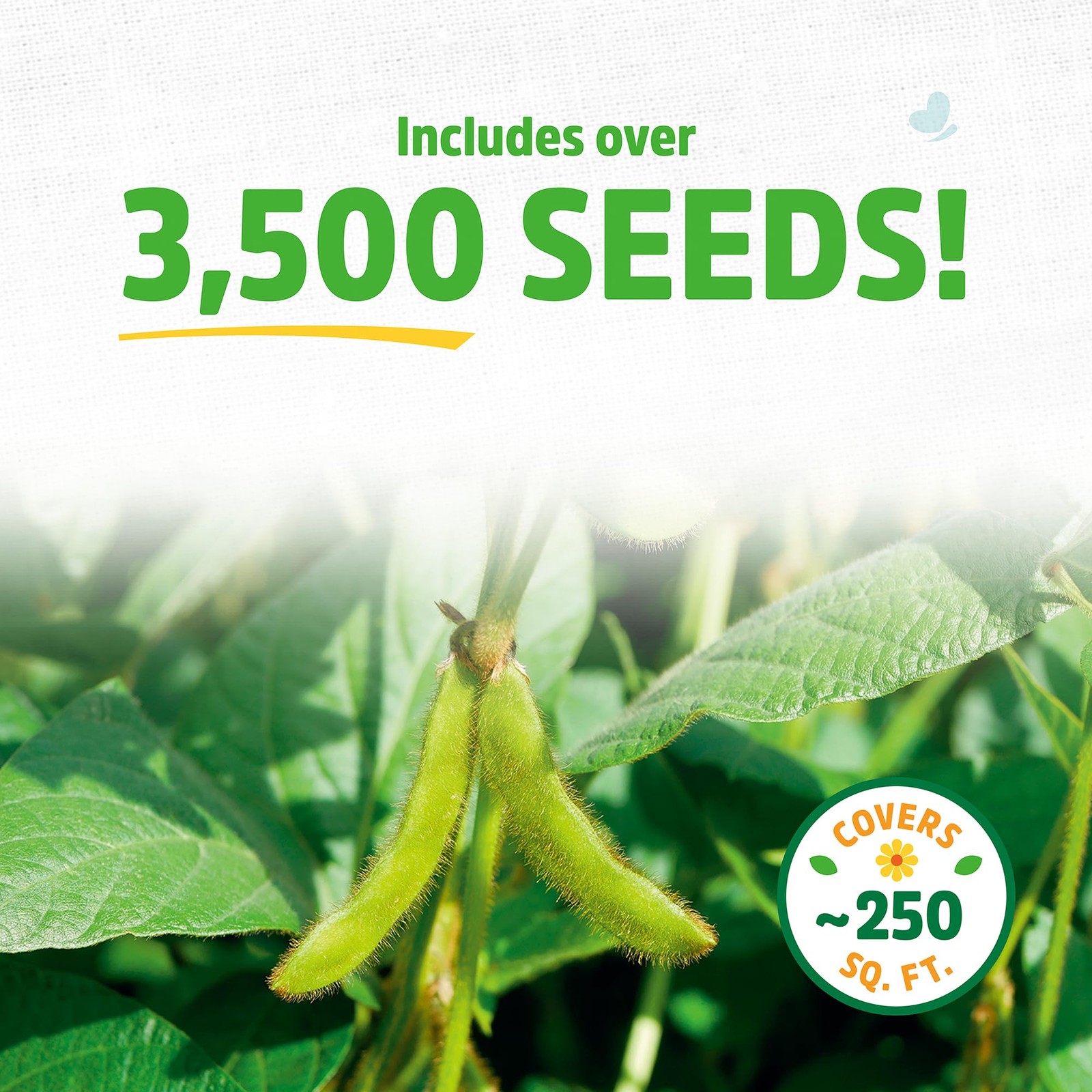 Back To The Roots 100 Organic Soybean Cover Crop Seeds Covers 1000 Sq. Ft.