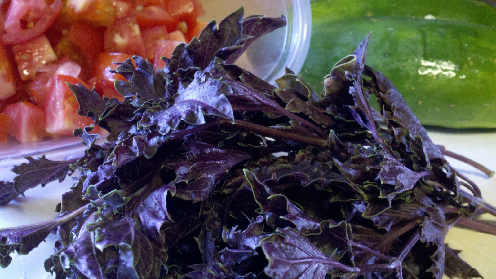 300+ seeds PURPLE DARK OPAL BASIL Ocimum basilicum ‘Dark Opal’