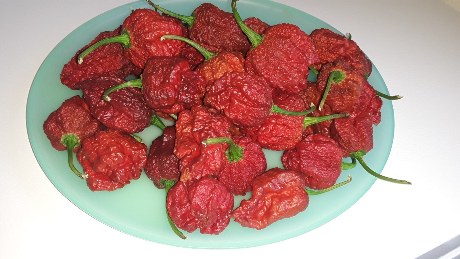 50+ Chocolate Carolina Reaper Chili Pepper Seeds World Record Hot Peppers