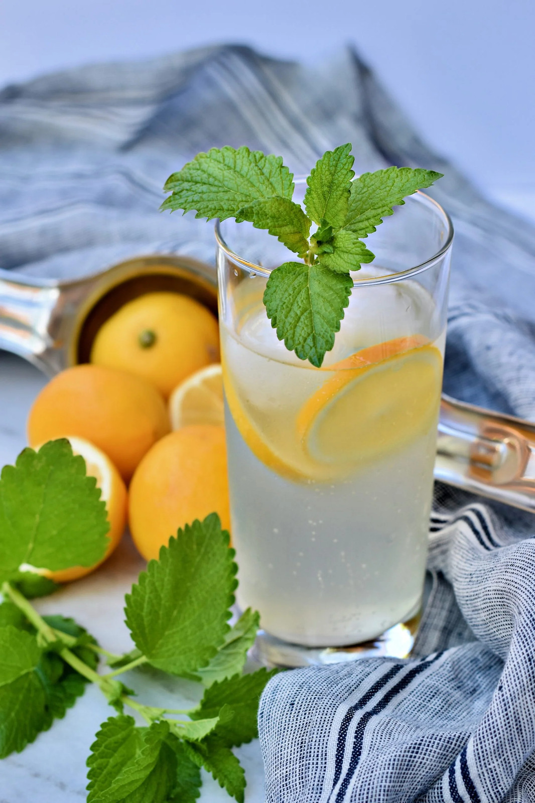 Lemon Balm Seeds | Herb Garden Vegetable Non GMO Basil Citrus Tea Mint Seed 2024