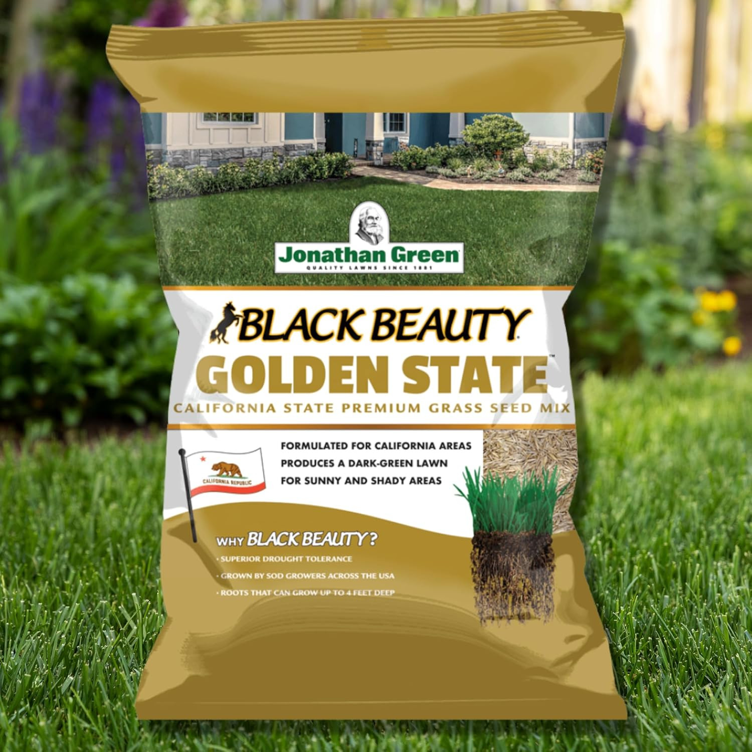 (10701) Black Beauty Golden State California Grass Seed (Made for California) –