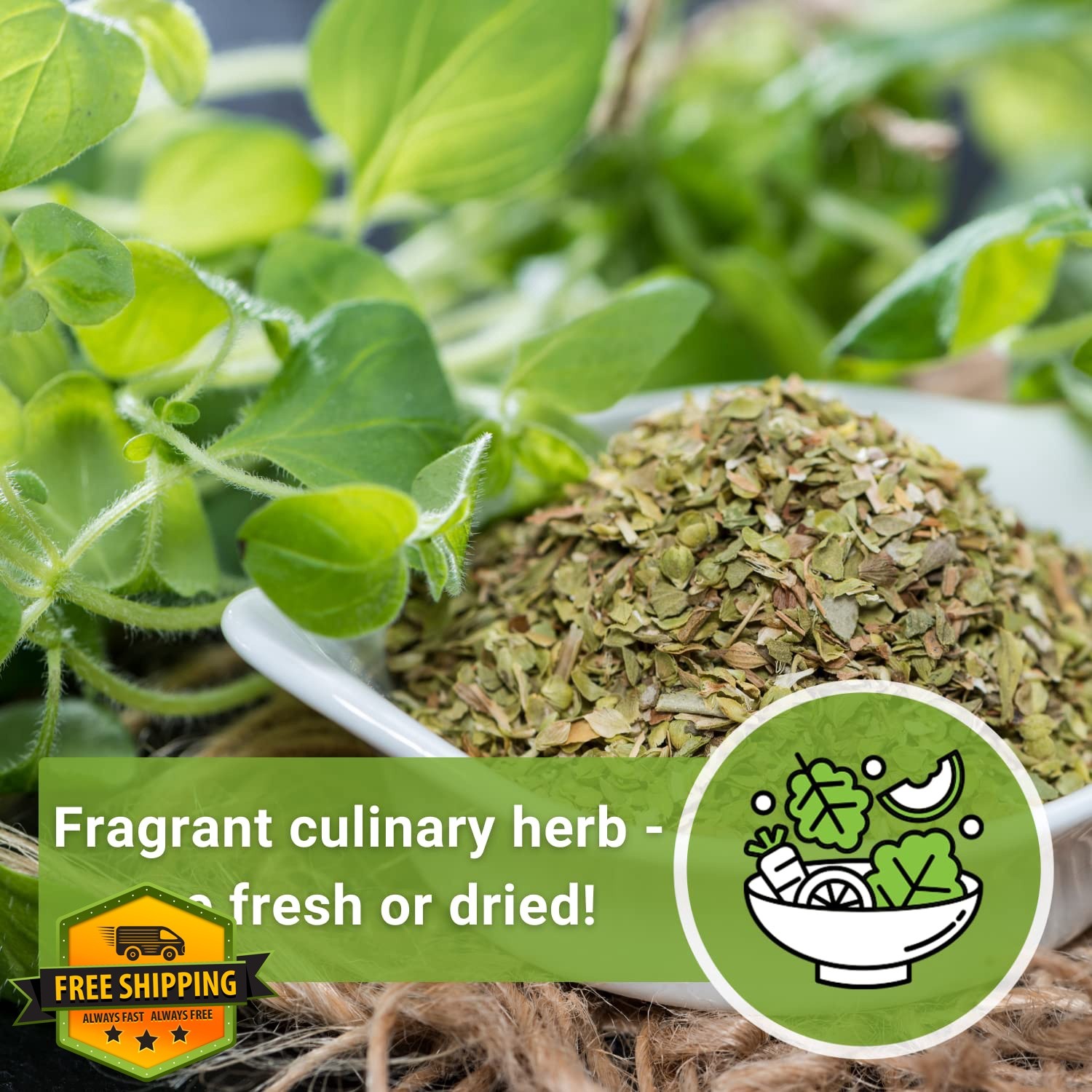 Sow Right Seeds Oregano 2 Pack