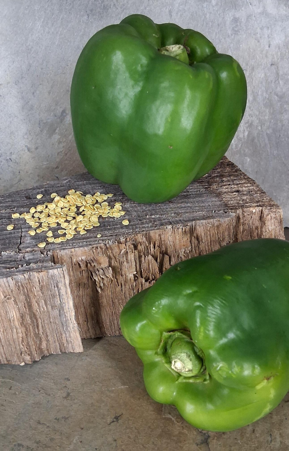 Giant Green Bell Pepper Seeds “Emerald Giant” 100+ Sweet Pepper Seeds
