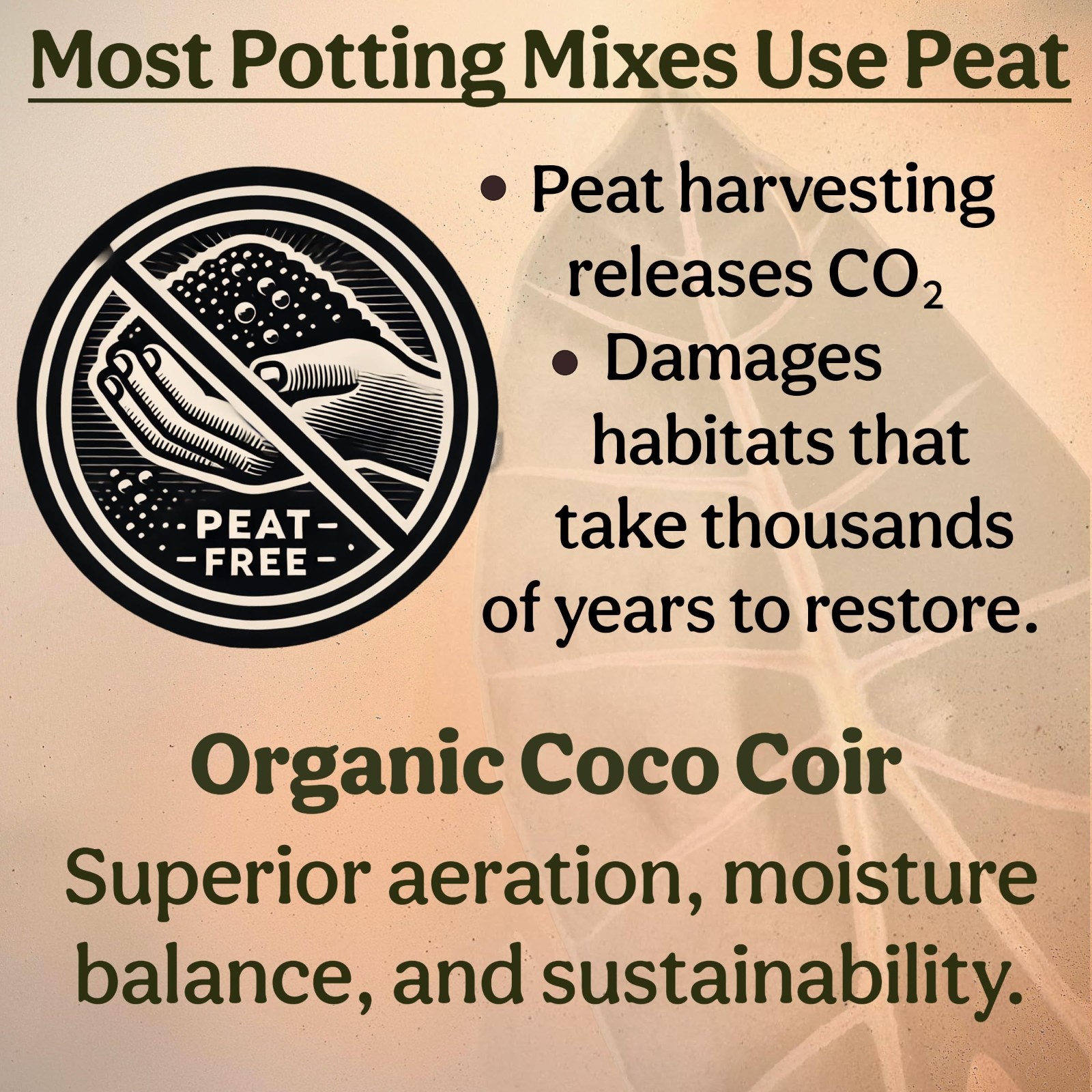 Organic Potting Mix for Aroids – Well-Draining Soil for Alocasia, Monstera, Phil