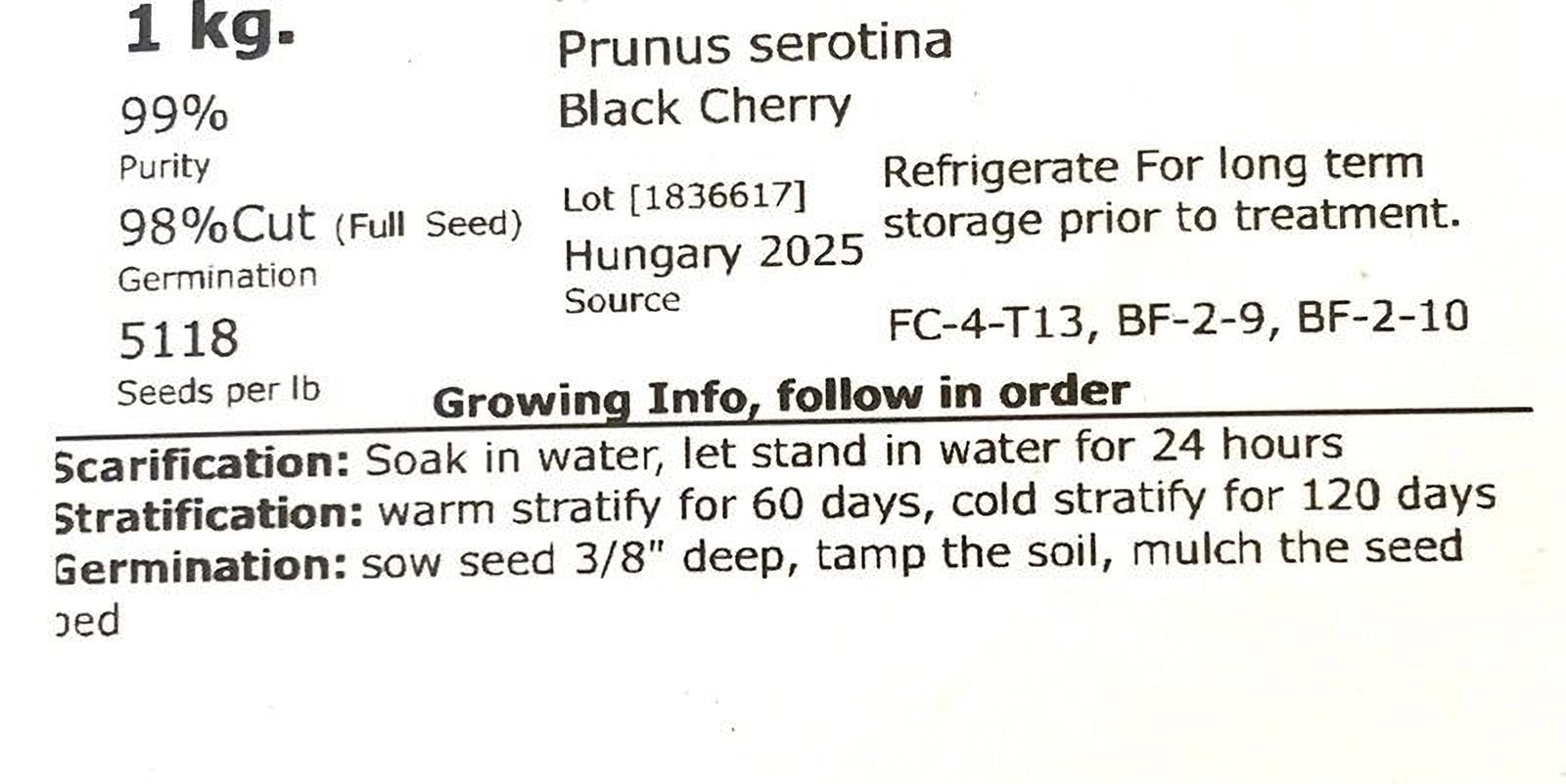 Black Cherry Tree Seeds (Prunus Serotina )