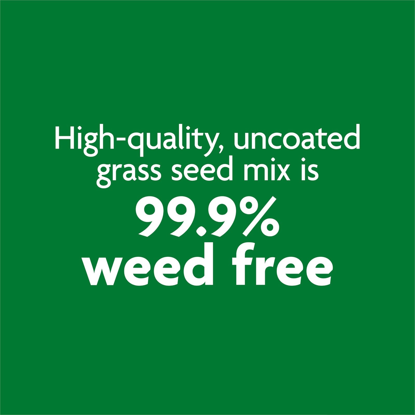 Premium Tall Fescue Grass Seed Mix 50 lbs | Uncoated, 99.9% Weed Free, Bulk Turf