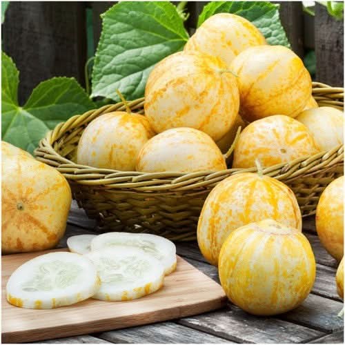 Lemon Cucumber Seeds For Planting (Cucumis sativus)