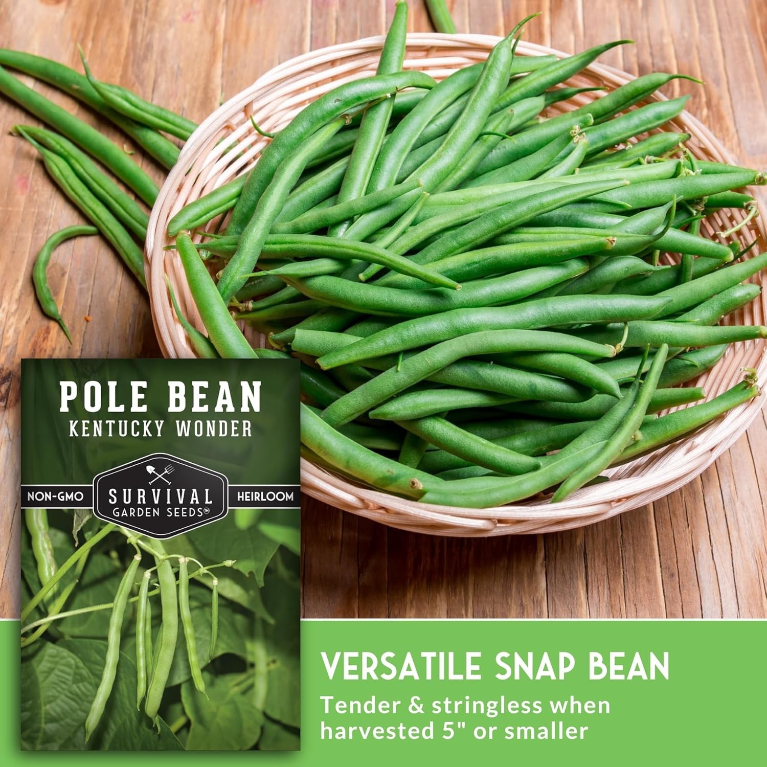 Heirloom Kentucky Wonder Pole Bean Seeds – 1 Pack of Stringless Climbing Beans