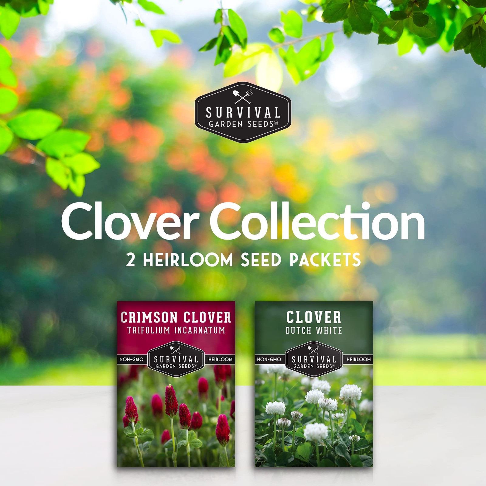 Clover Seed Collection for Planting – 2 Packets of Crimson & Dutch Red, White