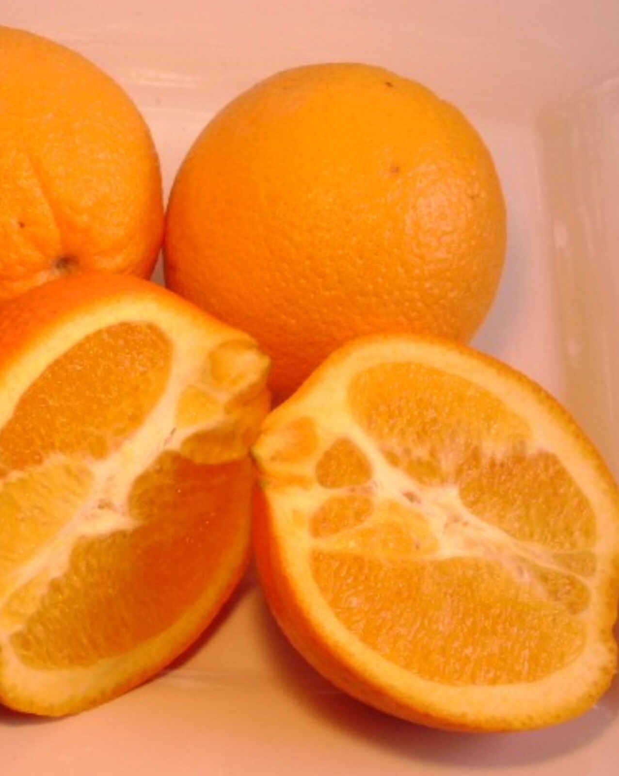 For Florida only!! Washington Navel Orange Tree, 26-30” tall, grafted
