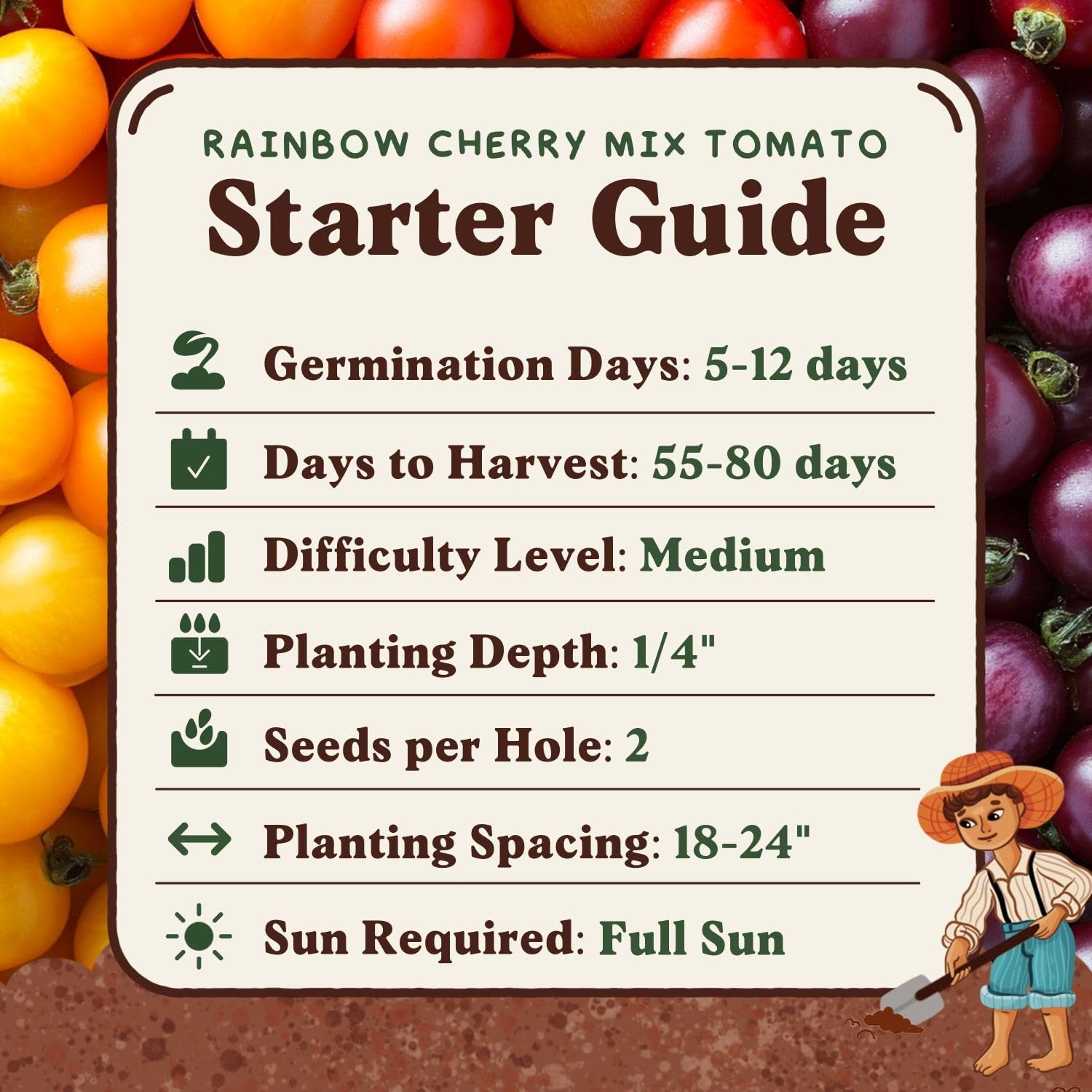 Rainbow Cherry Tomato Seeds for Planting Indoor Outdoor NonGMO Organic Vegetabl
