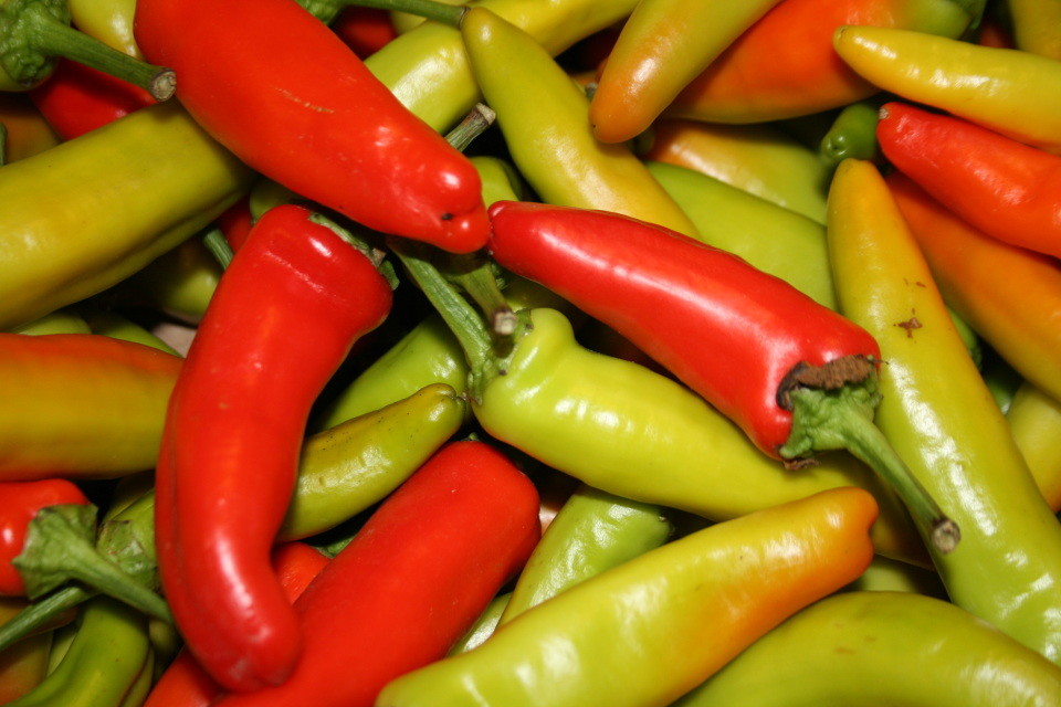 Cubanelle Sweet Pepper Seeds, NON-GMO, Variety Sizes, FREE SHIPPING