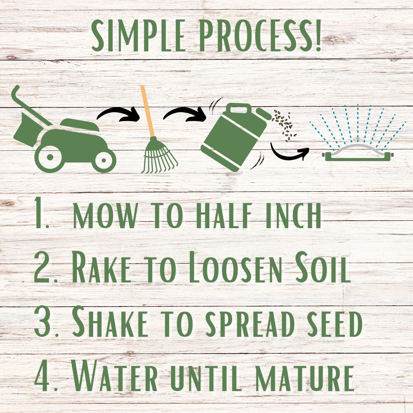 Mow Less Fine Fescue Grass Seed, Low Maintenance Lawn, Shade Tolerant