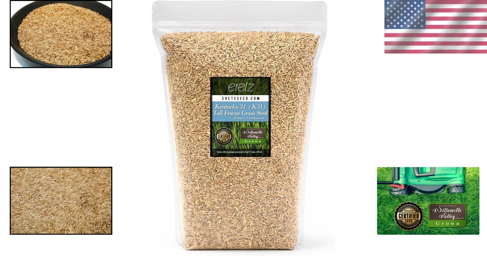 Scotts Kentucky 31 Grass Seed Mix for New Lawns or Overseeding, Grows Thicker an