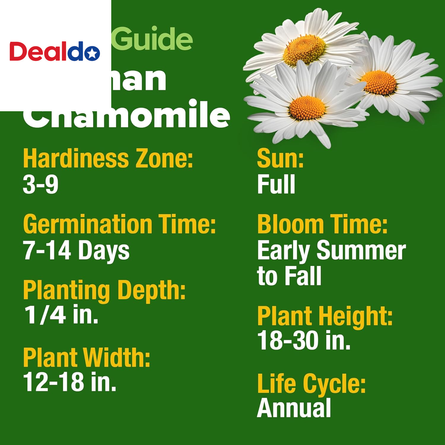 German Chamomile Seed Pack 2,280 Non GMO Heirloom Seeds for Planting for Sustain