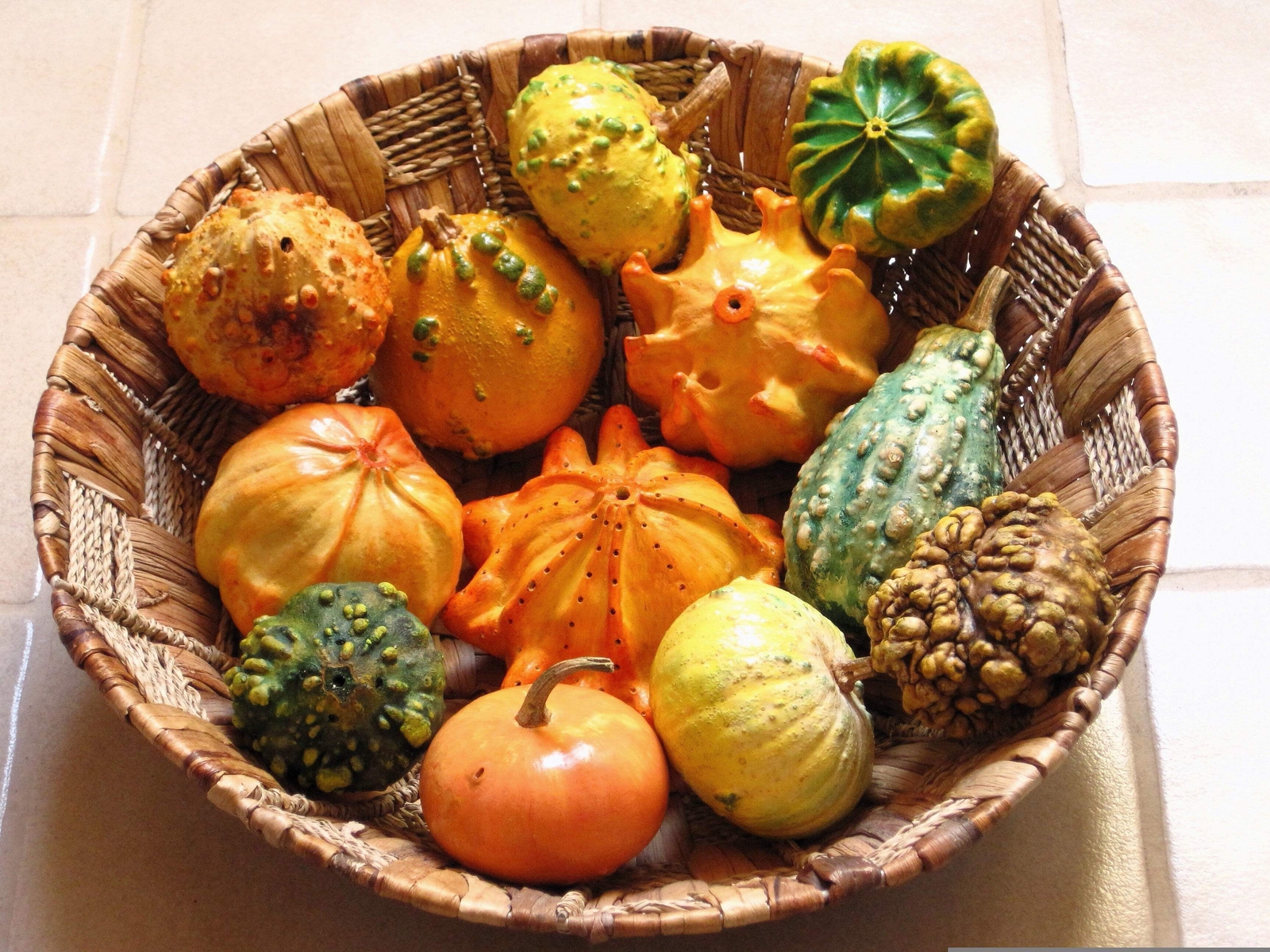 25 TEN COMMANDMENTS GOURD MIX Crown of Thorns Mixed Colors Cucurbita Pepo Seeds