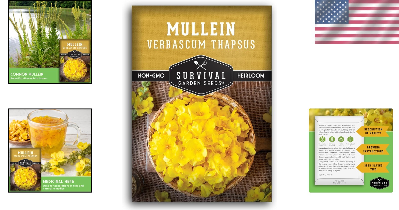 Sustainable Heirloom Mullein Seeds – High Germination Rate for Herbalist Gardens
