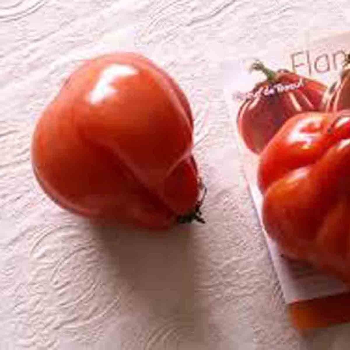 RARE GIANT OXHEART TOMATO HUGE TASTY AMERICAN HEIRLOOM NON-GMO JUICY 30+ SEEDS