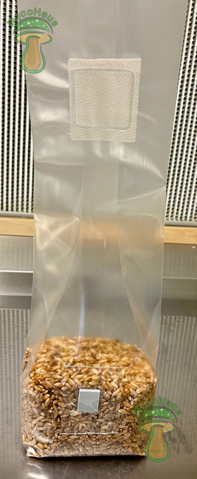 one pound sterilized rye grain bags with injection port mushroom substrate
