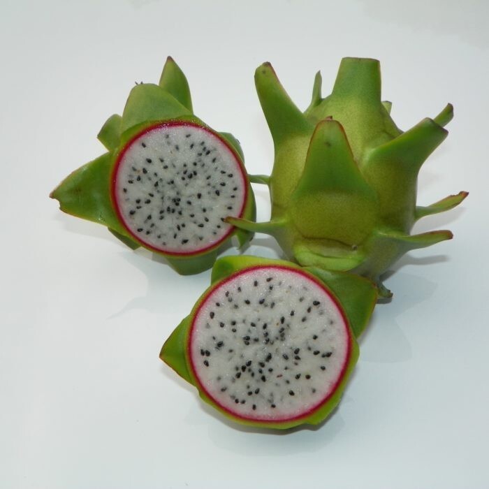 DRAGON FRUIT CUTTINGS – MULTIPLE VARIETIES 8-12 inches