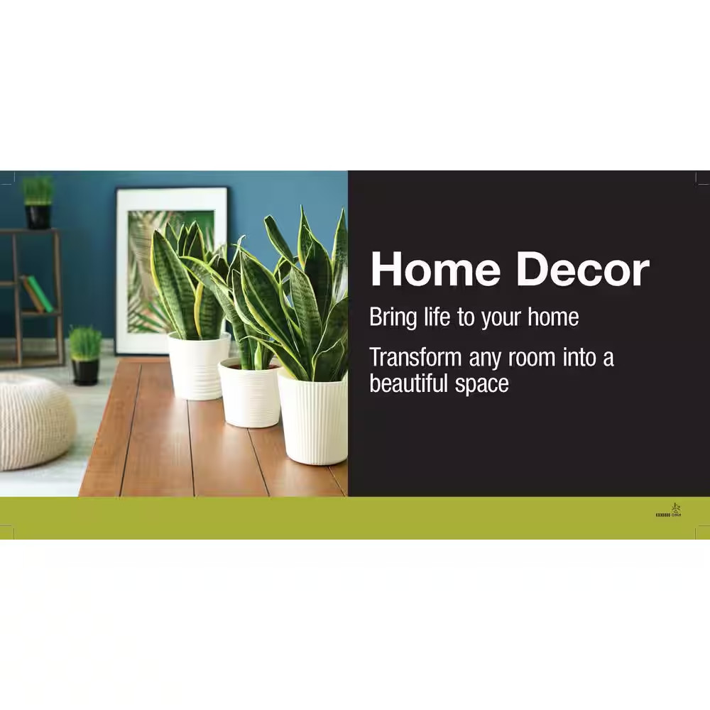 Peace Lily Indoor Plant in 6 In. White Decor Planter, Avg Shipping Height 1-2 Ft