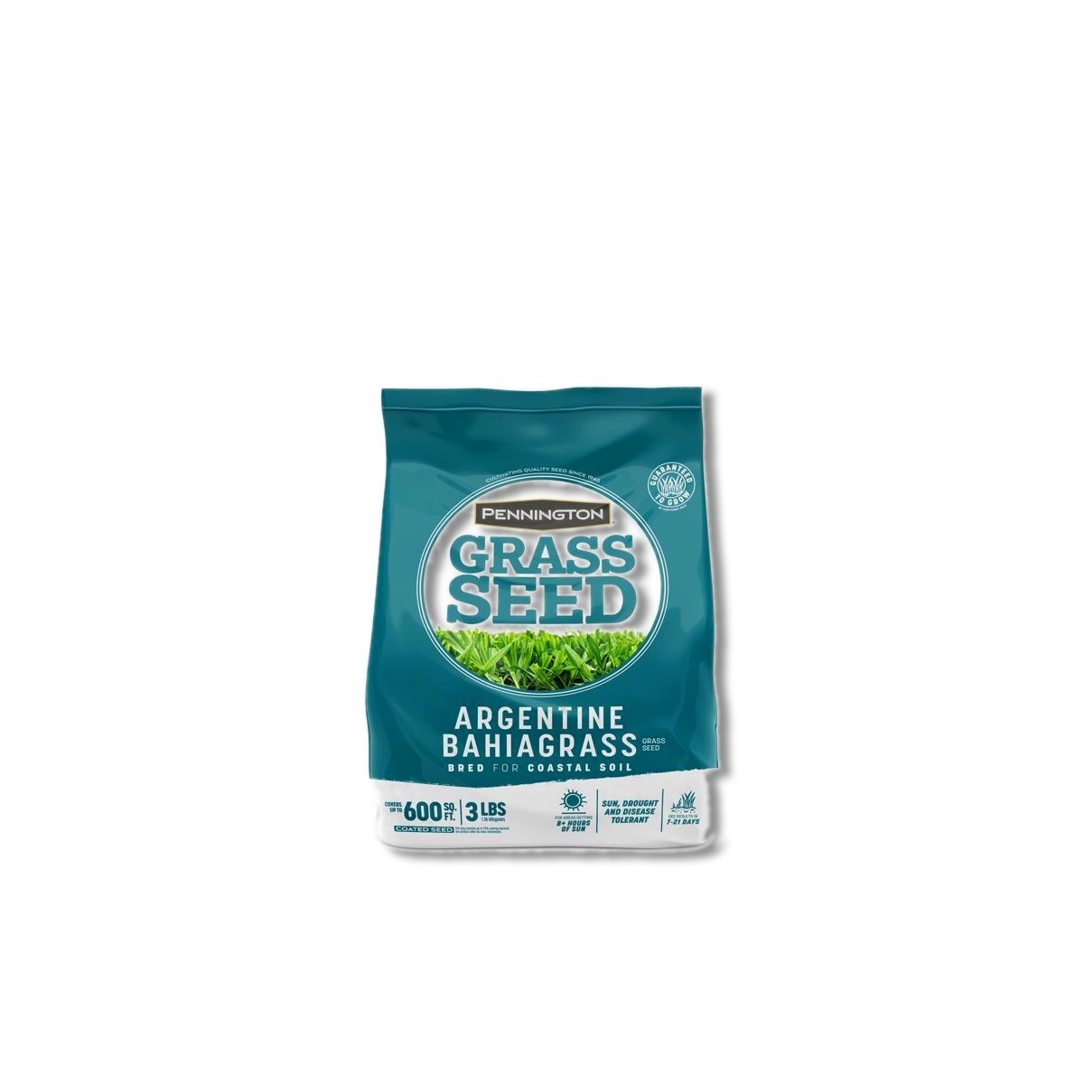 Pennington Bahia Grass Full Sun Grass Seed 3 lb 100543687
