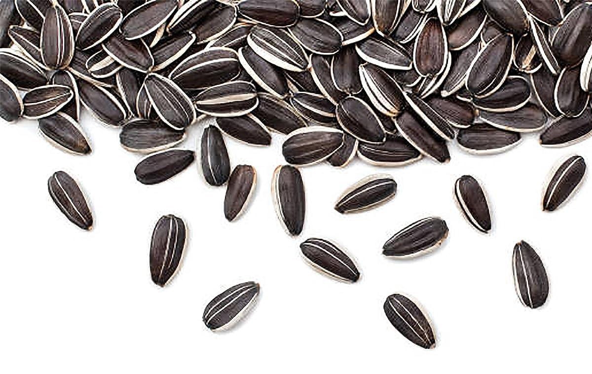 Mammoth Grey Striped Giant Sunflower Seeds – Attracts Bees & Butterflies, 1 lb