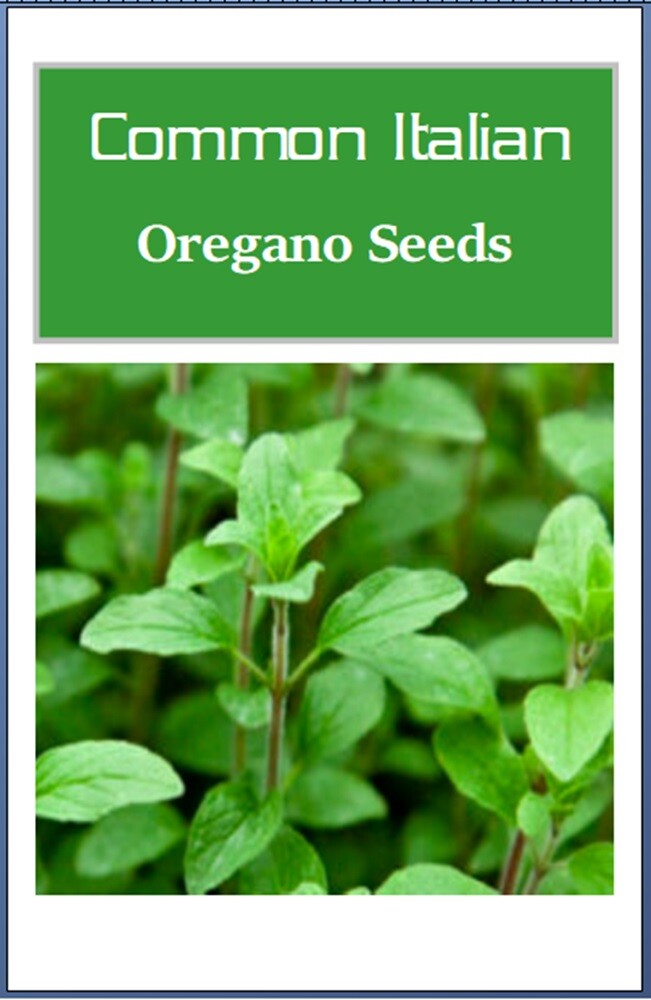 Common Italian Oregano Seeds | NON-GMO | Heirloom | Fresh Garden Seeds
