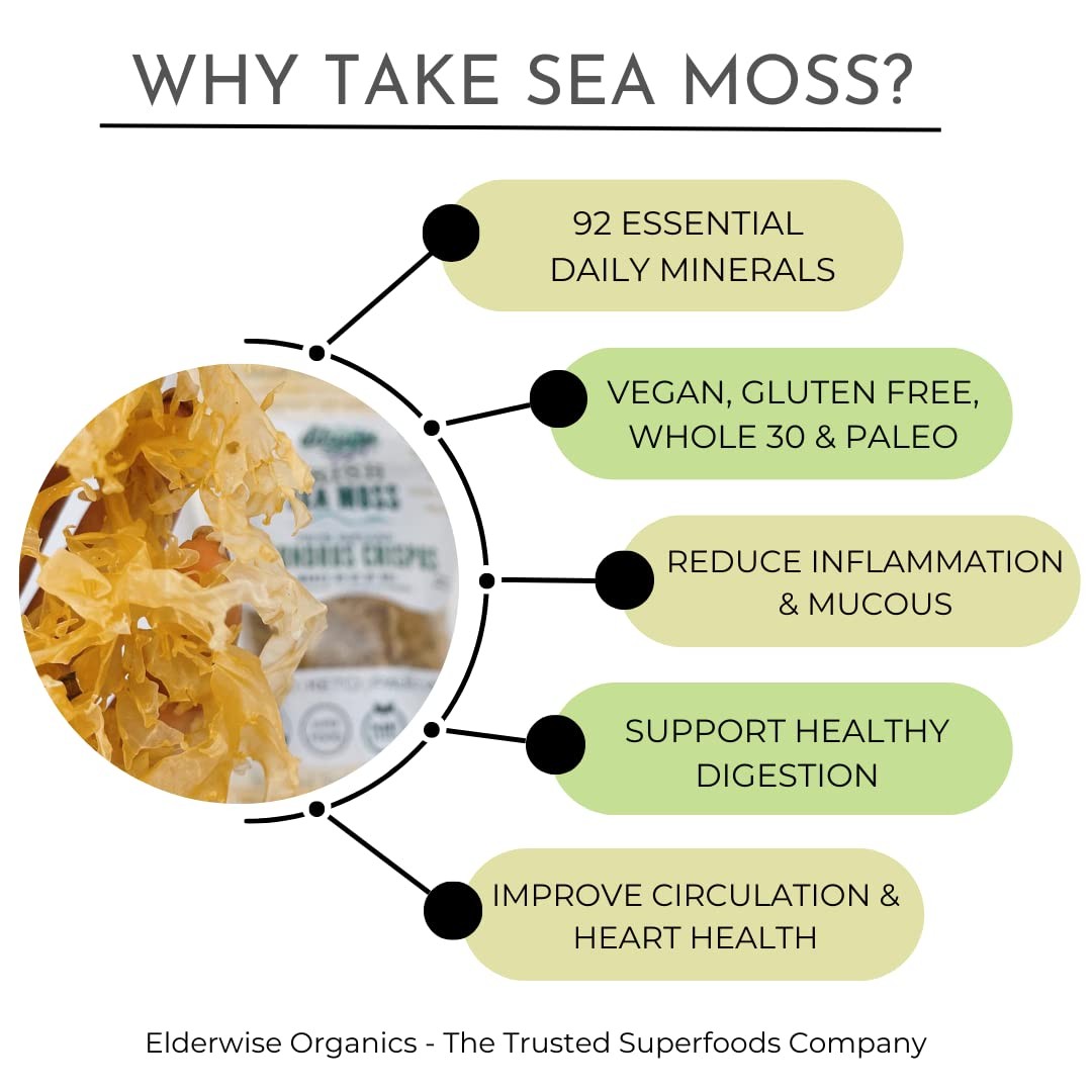 IRISH Sea Moss from Ireland | WILDCRAFTED | Chondrus 1.23 Ounces (Pack of 1)