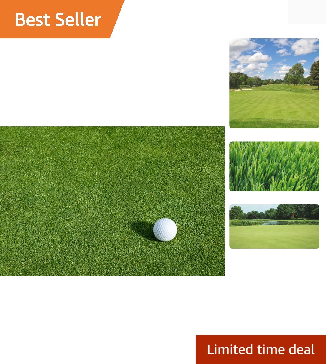 Creeping BentGrass Seeds, 1 Pound