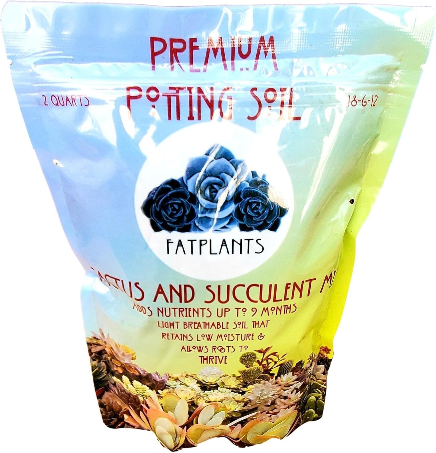 Succulent Potting Soil with Natural Fertilizer